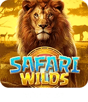 safari slot